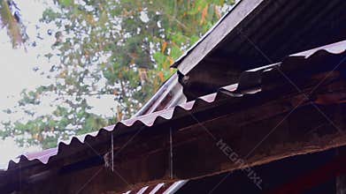 Rain drop on old zinc roof with dolly slider shot