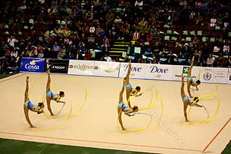 Milan Gymnastic Grand Prix 2008