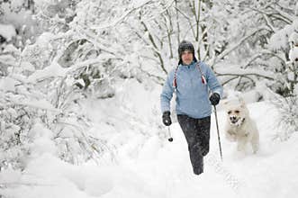 Nordic walking with dog