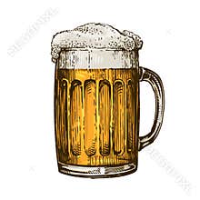 Beer in glass mug with foam. Hand drawn vector illustration