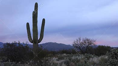 4K UltraHD Timelapse at sunset of the Sonoran Desert