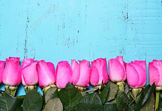 Vintage aqua blue wood background with pink rose buds.