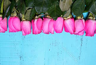 Vintage aqua blue wood background with pink rose buds.