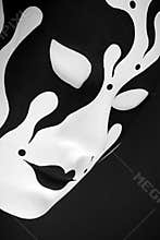 The mask