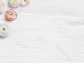 Styled stock photo. Feminine desktop mockup with buttercup flowers, Ranunculus, empty space and shabby white background