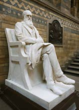 Statue of Darwin
