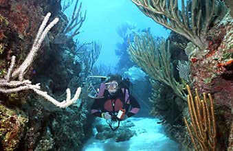 Woman Scuba diver in Roatan