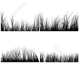 Set of grasses