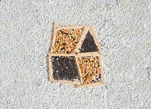 Creative real estate land and house.Farming concept