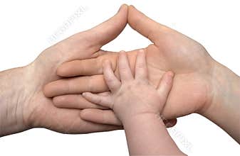 Baby's hand holding the hands of parents isolated