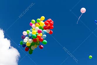 Many bright baloons in the blue sky