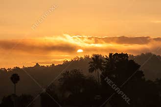 Golden sunrise, Sri Lanka