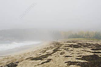 Acadia National Park Sand beach