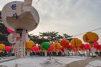 Chinese New Year