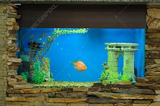 Aquarium