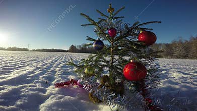 Beautiful Christmas tree on snowy field in evening, 4K