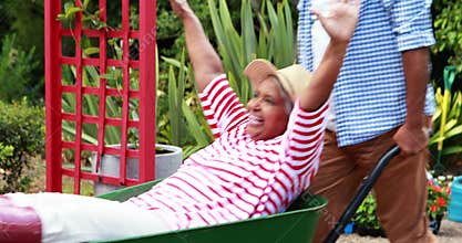 Man carrying happy senior woman in the wheel barrow