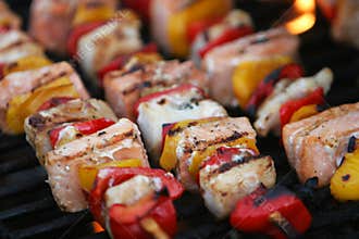 Gourmet fish grill