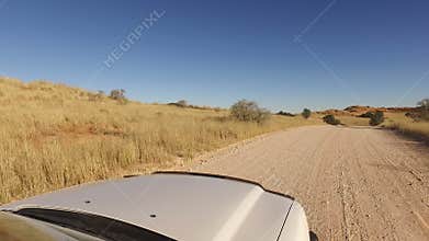 Driving in the Kalahari - South Africa