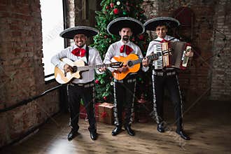 Mexican musician mariachi