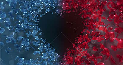 Red Blue Rose Flower Petals In love Heart Shape Background Placeholder Loop 4k