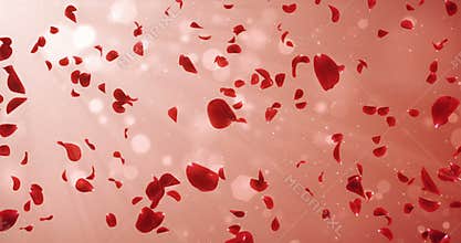 Flying Romantic Light Red Rose Flower Petals Falling Background Loop 4k
