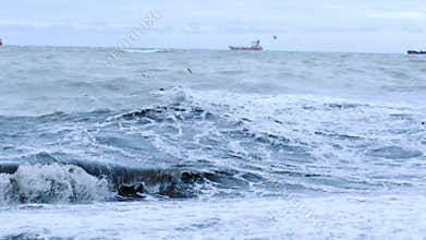 Sea gulls. Far in the sea ships sail.The sea waves roll to the shore.