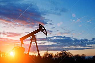 Oil