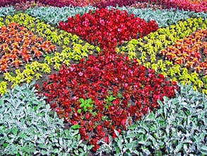 Flower bed
