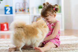 Funny kid with dog Spitz at home