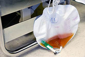 Foley Bag