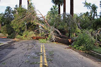 Global Warming Climate Change Hurricanes