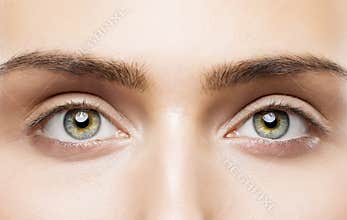 Woman Eyes Close Up, Natural Makeup, Young Girl Beauty Face, Eye