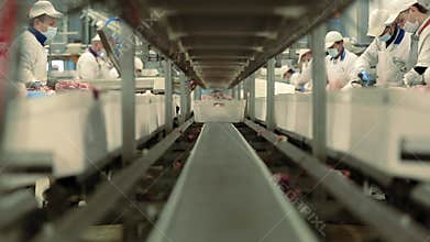 Meat processing plant