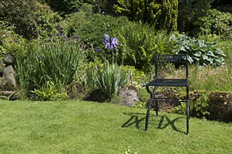 Garden with green metal chair as decoration