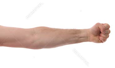 Isolated Arm with Fist