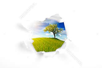 Summer landscape behind white wall hole