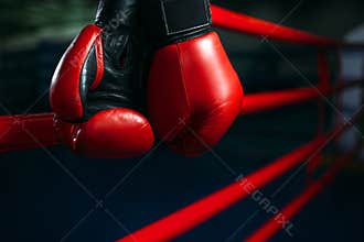 Gloves on the ring ropes, boxing concept, nobody