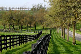 Fence Line and Lane