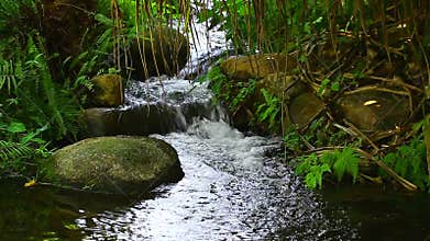 Waterfall in the forest