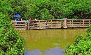Floating boardwalk at wetland park in hong kong