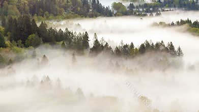 Time lapse closeup video of low fog over Sandy river in Sandy OR 4k uhd
