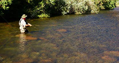 Man fly fishing in river