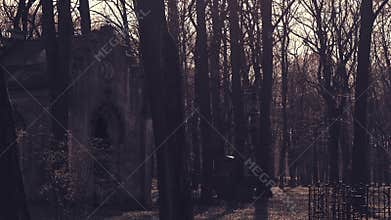 Old crypt in cemetery