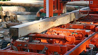 Industrial automated machine cutting wood logs