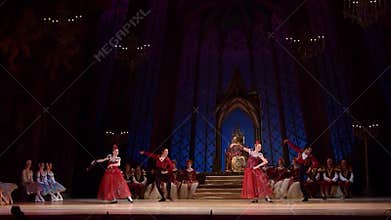 Classical ballet Swan Lake