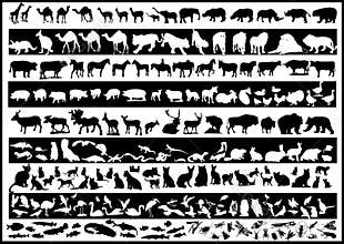 Animals vectors