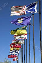 Canadian flags