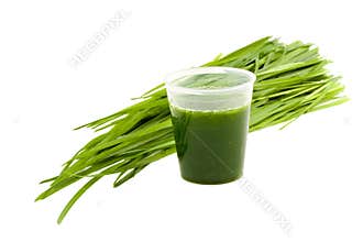 Wheatgrass drink isolated on white background
