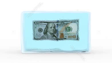 Dollar Frozen in a Block of Ice